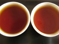 七子紅帯青餅プーアル茶と、雪印青餅80年代7532の飲み比べ