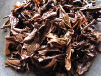 73青餅7542七子餅茶