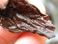 73青餅7542七子餅茶