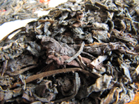 73青餅7542七子餅茶