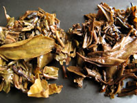 千禧年7542青餅00年