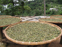 7542の配方について