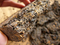 きっちり茶葉がつまっている7562磚茶プーアール茶