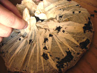 早期7572青餅70年代プーアル茶