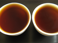 黄印7572七子餅茶99年と孟海一級圓茶99年
