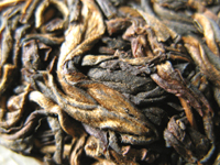 92紅帯青餅プーアル茶