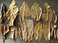 92紅帯青餅プーアル茶