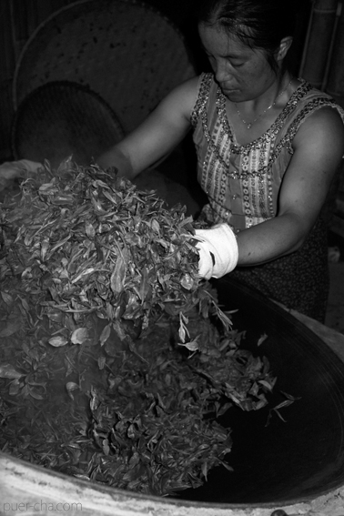 巴達古樹青餅2010年プーアル茶