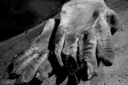 巴達古樹青餅2010年プーアル茶