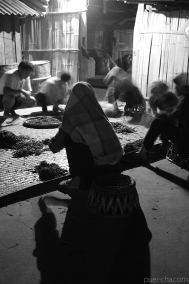 巴達古樹青餅2010年プーアル茶