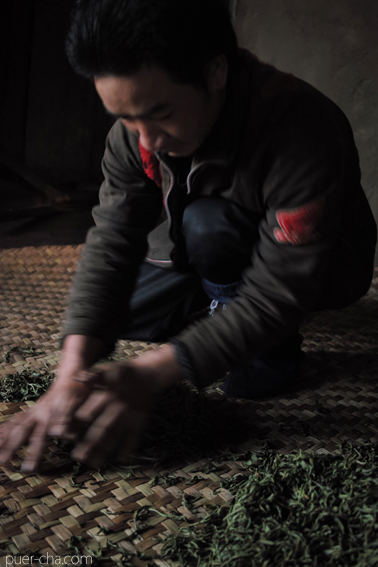 巴達古樹青餅2010年プーアル茶