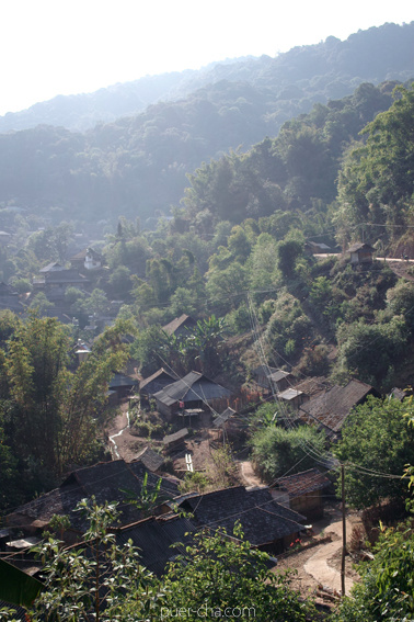 巴達古樹青餅2010プーアル茶