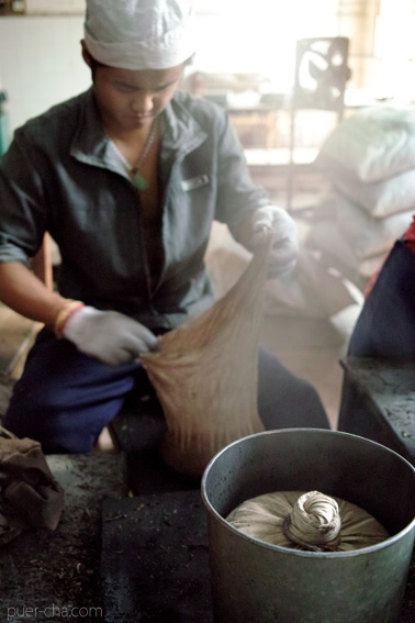 巴達古樹青餅2010プーアル茶