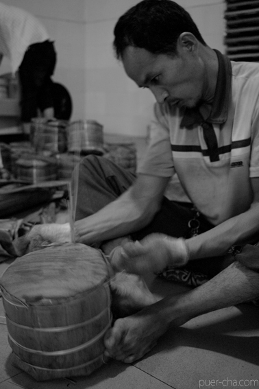 巴達古樹青餅2010プーアル茶