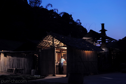 巴達古樹青餅2010年プーアル茶