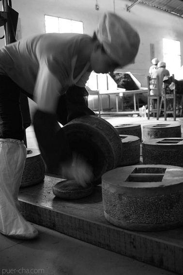 巴達古樹青餅2010プーアル茶