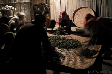 巴達古樹青餅2010年プーアル茶