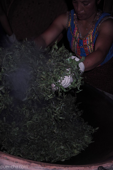 巴達古樹青餅2010年プーアル茶