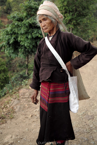 巴達古樹青餅2010プーアル茶