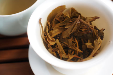 巴達古樹青餅2010年プーアル茶