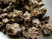 老茶頭プーアル茶磚06年