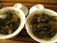 大益7542七子餅茶06年プーアル茶と大益7542七子餅茶07年プーアル茶