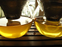 大益7542七子餅茶06年プーアル茶と大益7542七子餅茶07年プーアル茶