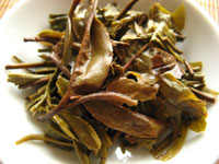 大益7542七子餅茶07年プーアル茶