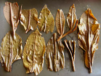 大きな茶葉 7582青餅94年プーアル茶