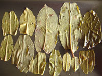 大きな茶葉 大益7582七子餅茶06年