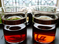 大益茶磚96年プーアル茶