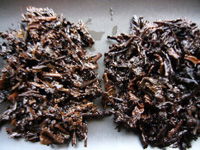 大益茶磚プーアル茶と大益茶磚96年プーアル茶