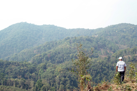 丁家老寨青餅2012年プーアル茶