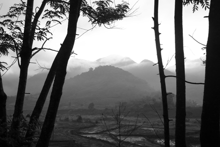 丁家老寨青餅2012年プーアル茶