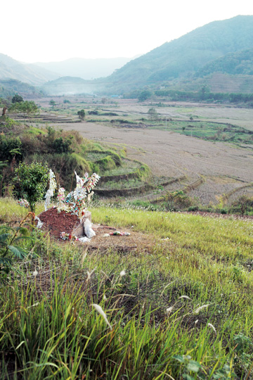 丁家老寨青餅2012年プーアル茶