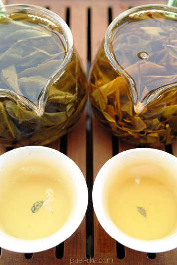 丁家老寨青餅2012年プーアル茶