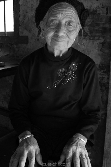 丁家老寨青餅2012年プーアル茶