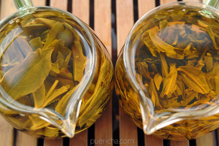 丁家老寨青餅2012年プーアル茶