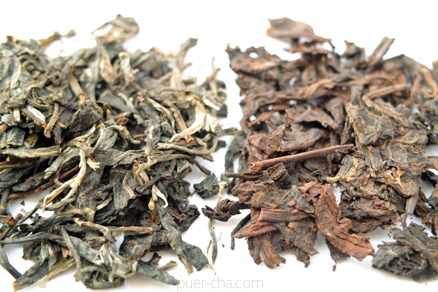 丁家老寨青餅2012年プーアル茶