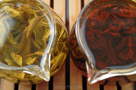 丁家老寨青餅2012年プーアル茶