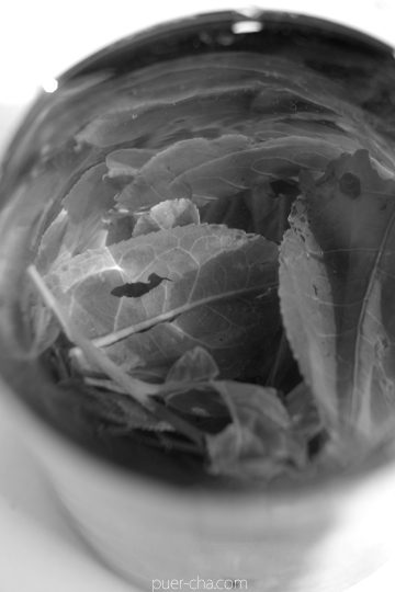 丁家老寨青餅2012年プーアル茶