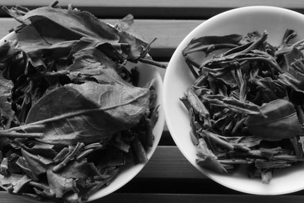 丁家老寨青餅2012年プーアル茶