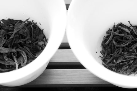 丁家老寨青餅2012年プーアル茶