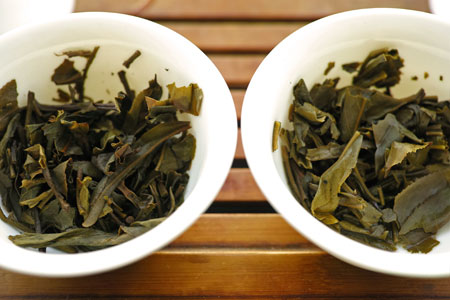 丁家老寨青餅2012年プーアル茶