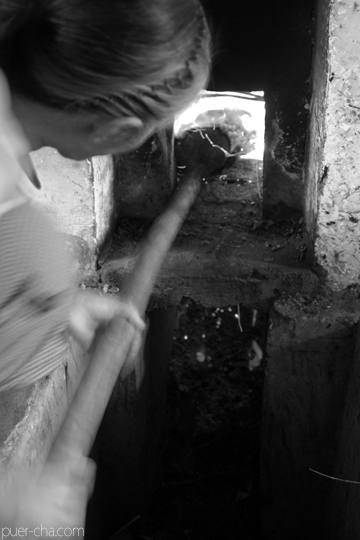 丁家老寨青餅2012年プーアル茶