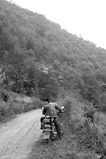 丁家老寨青餅2012年プーアル茶