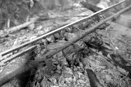 丁家老寨青餅2012年プーアル茶