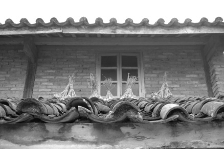 丁家老寨青餅2012年プーアル茶