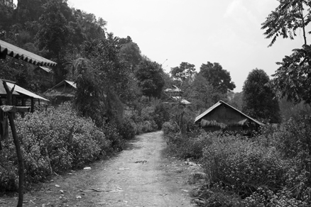 丁家老寨青餅2012年プーアル茶
