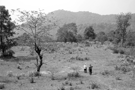 丁家老寨青餅2012年プーアル茶